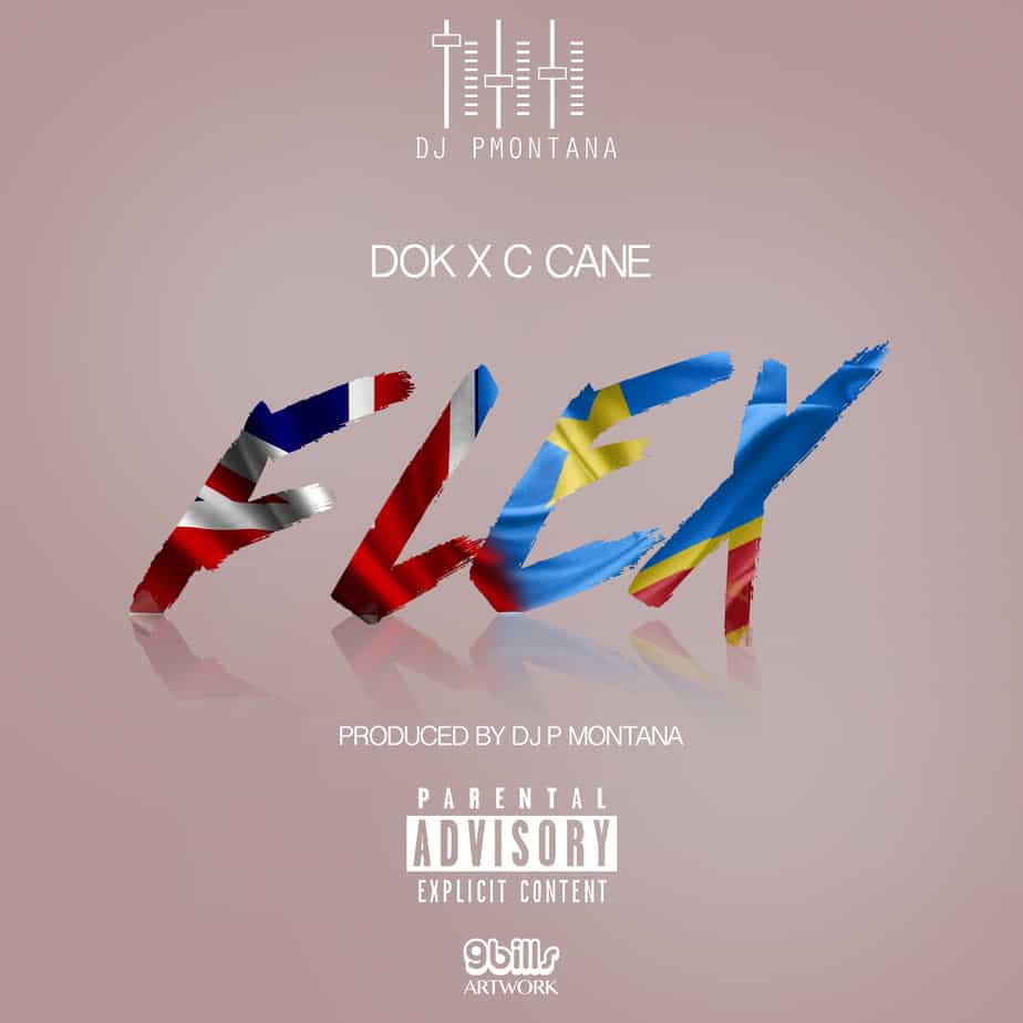 dok-flex-artwork-9bills